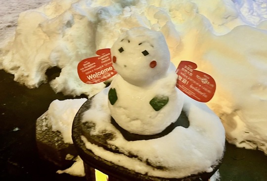 雪だるまさま専用ページ♡27日迄☆他の方購入不可 雪だるまのページ - ふとんのヨネタ