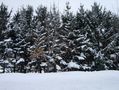 札幌の冬３